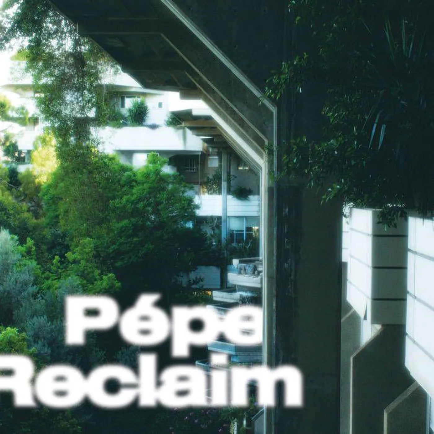 Pepe Reclaim Vinyl Record