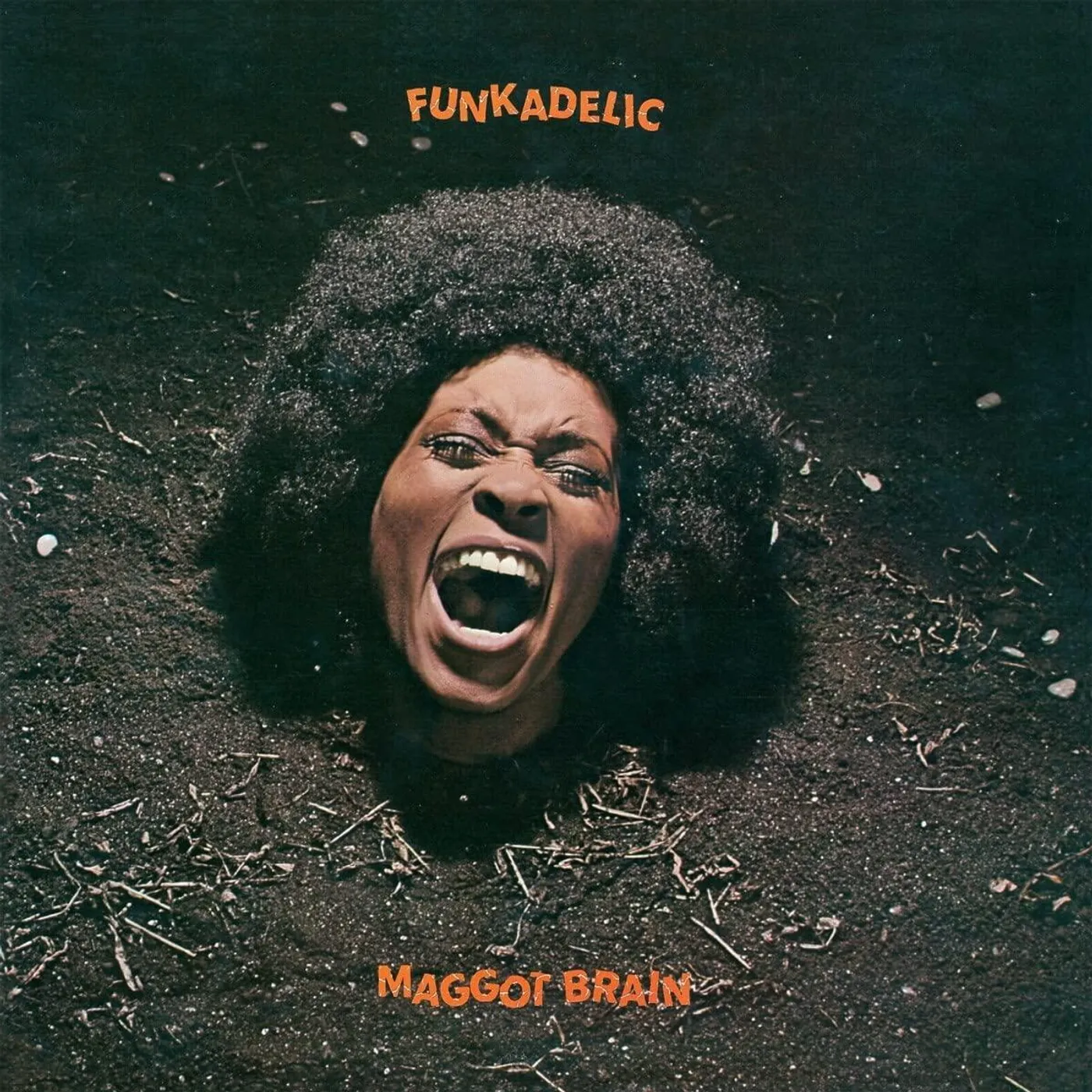Funkadelic Maggot Brain: 50th Anniversary Edition Vinyl Record