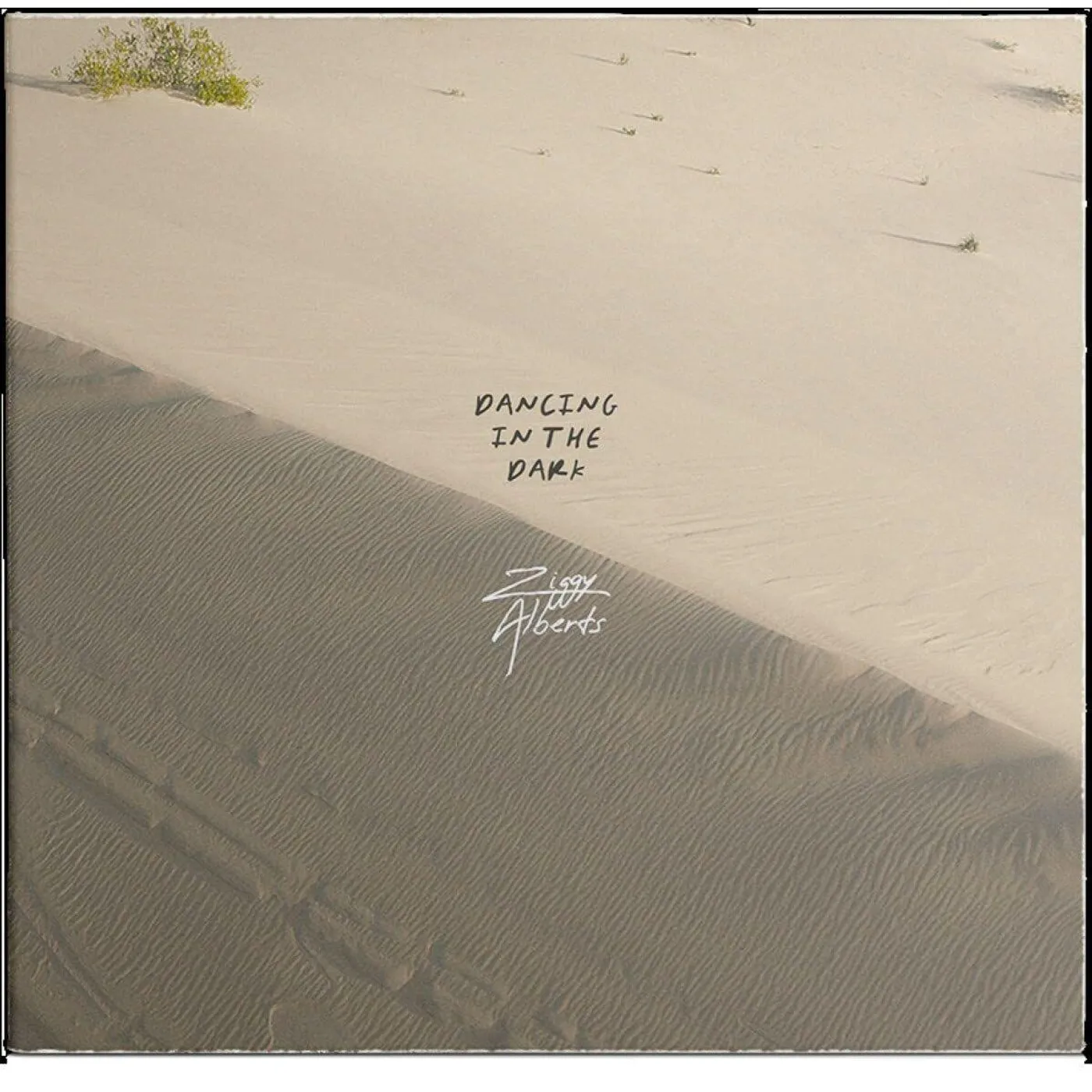 Ziggy Alberts DANCING IN THE DARK Vinyl Record