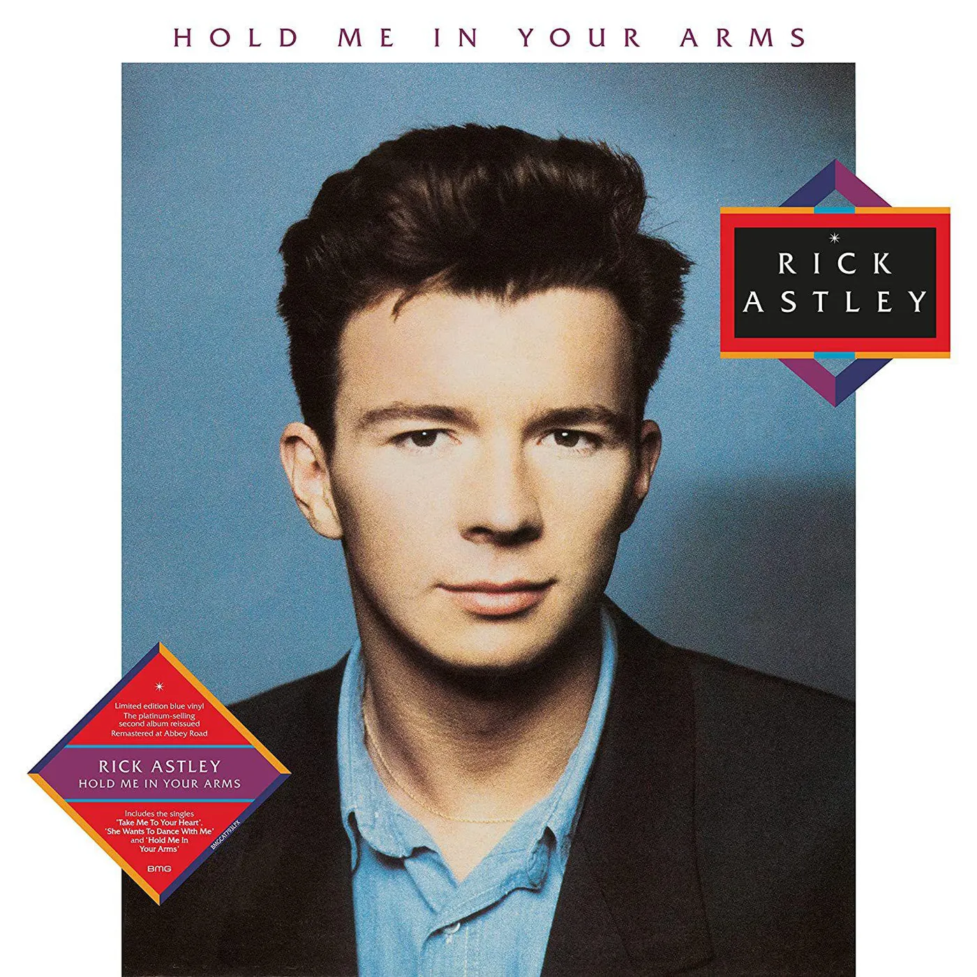 Rick Astley Hold Me in Your Arms Vinyl Record