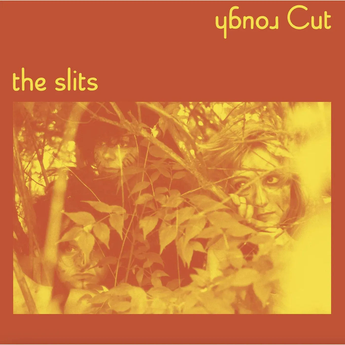 The Slits (ROUGH) CUT Vinyl Record