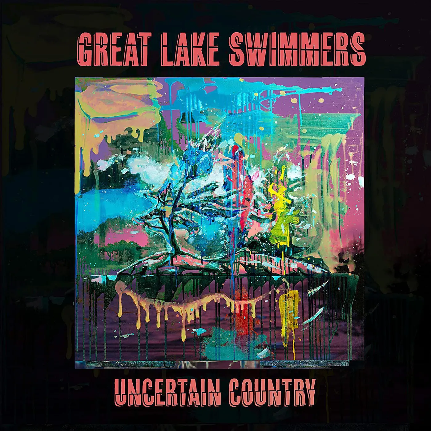 Great Lake Swimmers Uncertain Country Vinyl Record