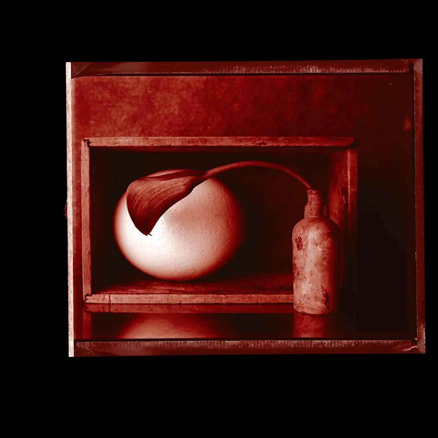 Britta Phillips / Kramer Nocturnes Vinyl Record