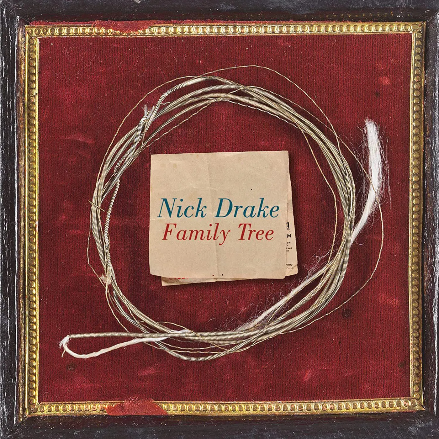 Nick Drake Family Tree Vinyl Record