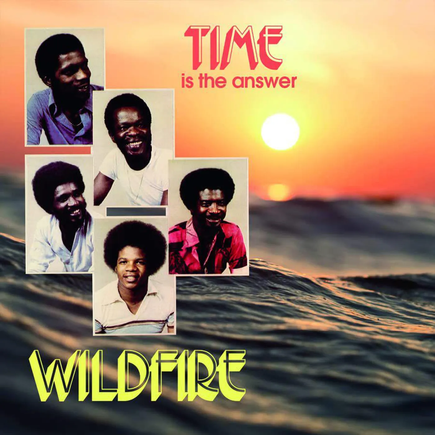 Wildfire Time Is The Answer Vinyl Record