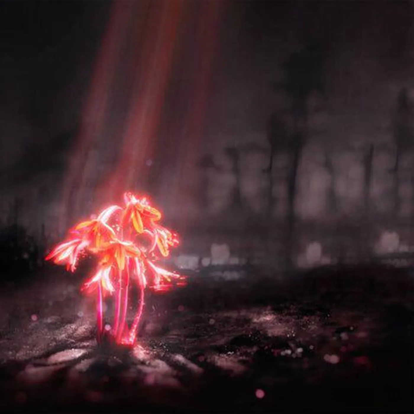 Enter Shikari KISS FOR THE WHOLE WORLD Vinyl Record