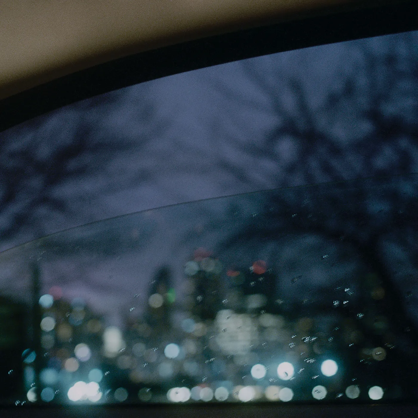 Natural Wonder Beauty Concept Vinyl Record