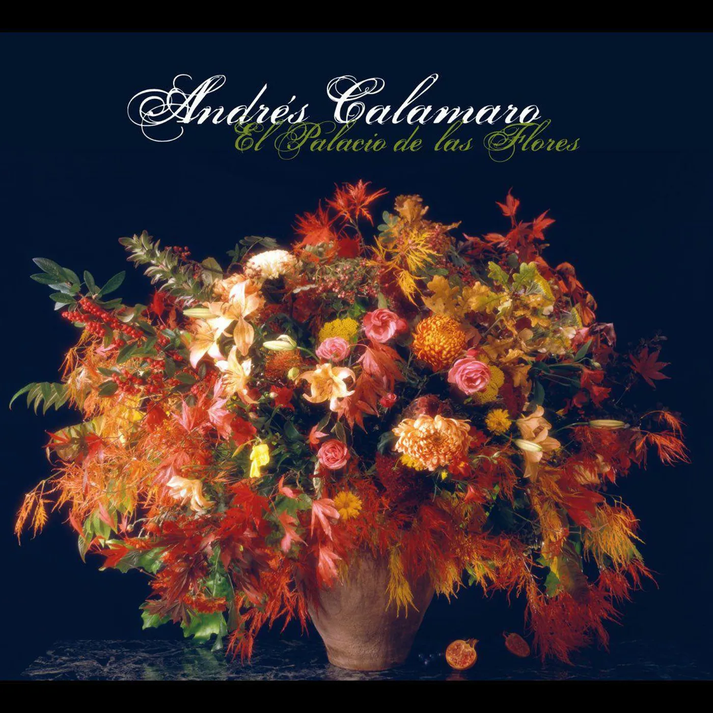 Andrés Calamaro El Palacio De Las Flores Vinyl Record