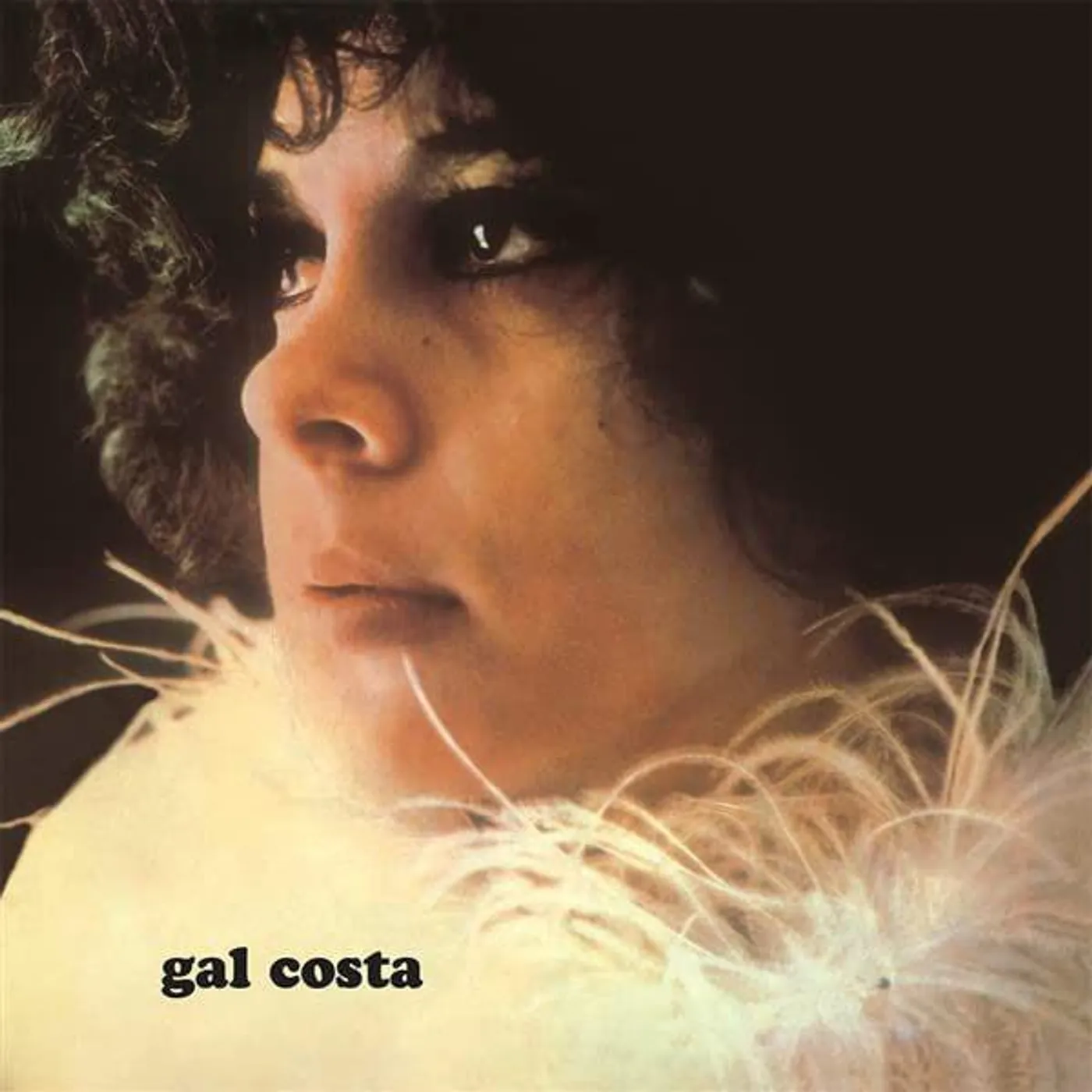 Gal Costa Vinyl Record