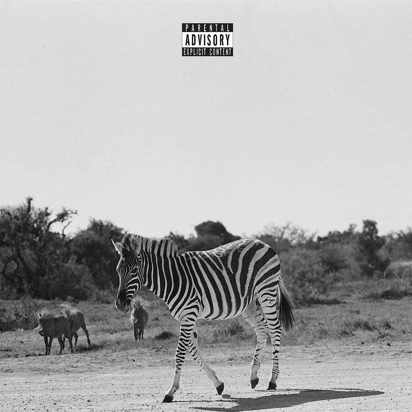 Louis VI Earthling Vinyl Record