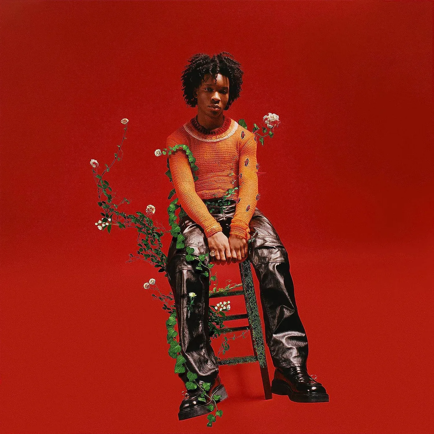 d4vd Petals To Thorns (Translucent Black Ice) Vinyl Record