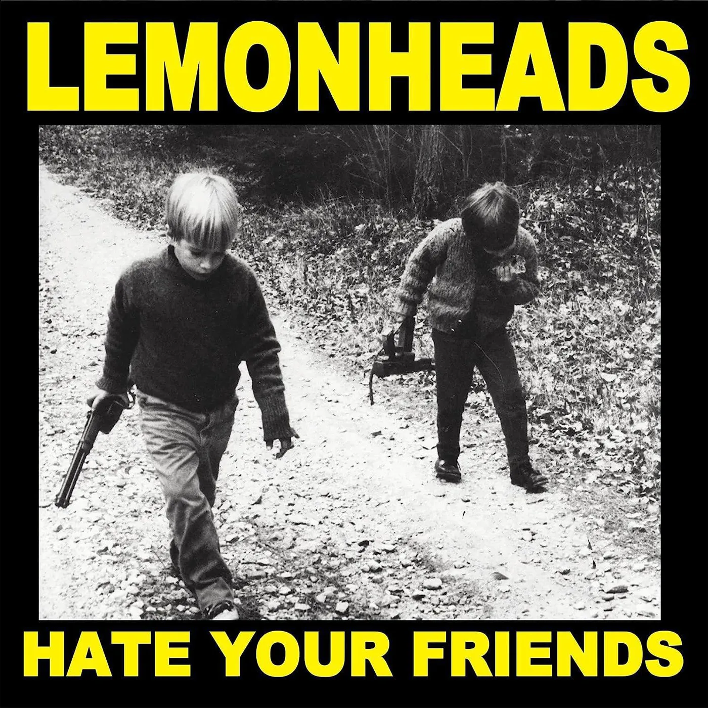 The Lemonheads Hate Your Friends Vinyl Record