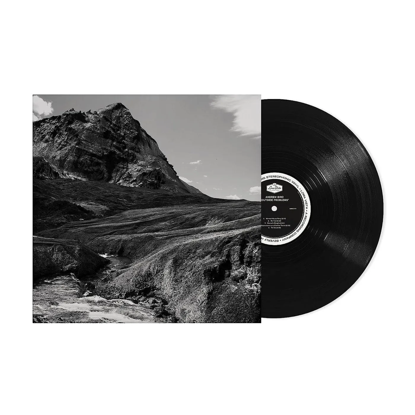 Andrew Bird Outside Problems Vinyl Record