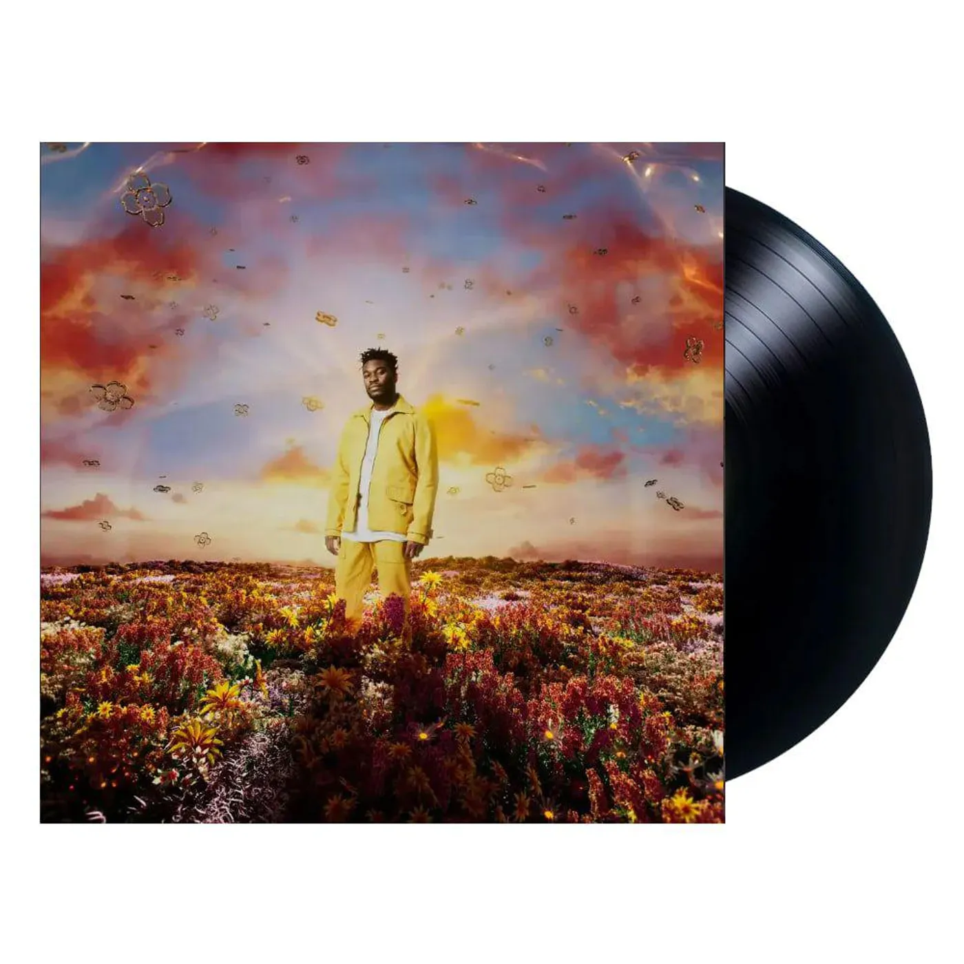Nonso Amadi WHEN IT BLOOMS Vinyl Record