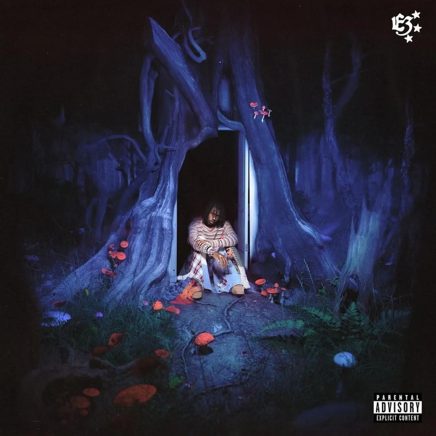 midwxst E3 Vinyl Record