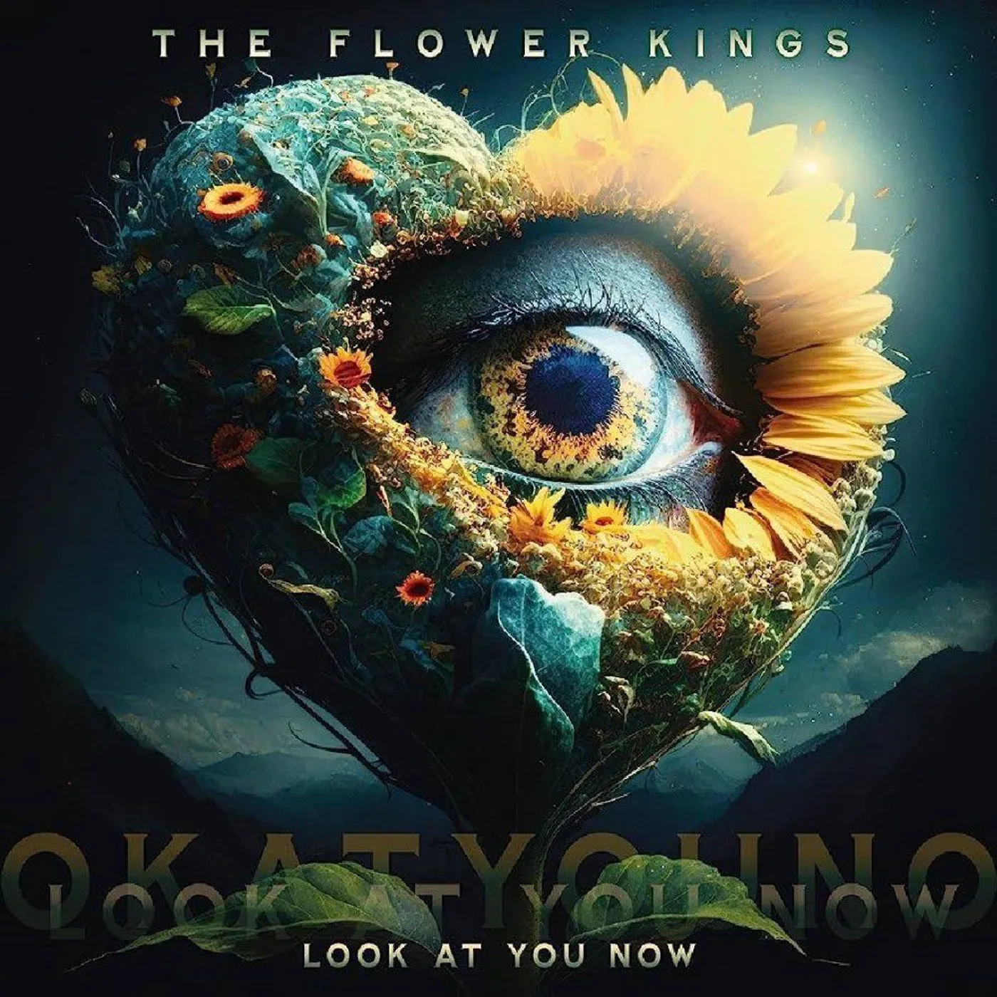 The Flower Kings Look At You Now Vinyl Record