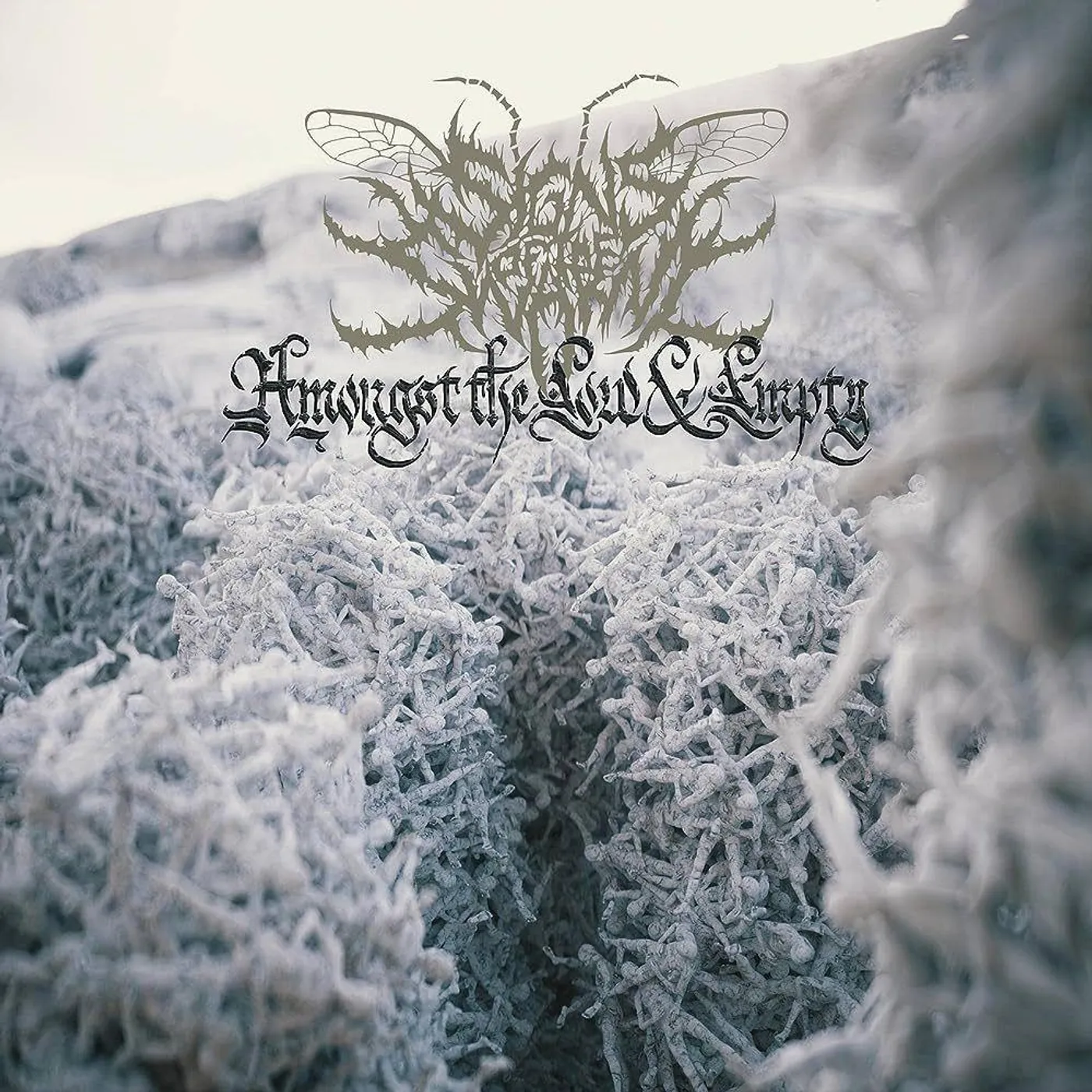 Signs of the Swarm Amongst The Low & Empty Vinyl Record