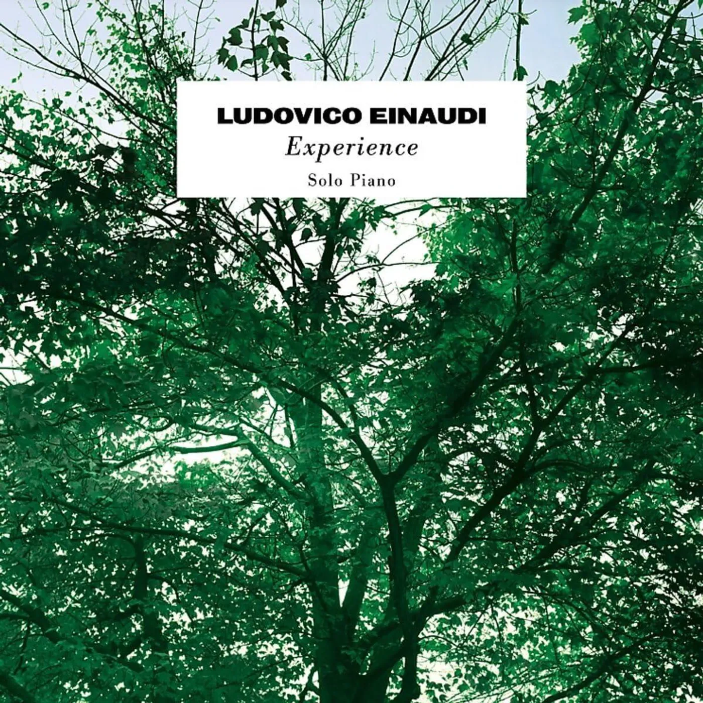 Ludovico Einaudi Experience Vinyl Record