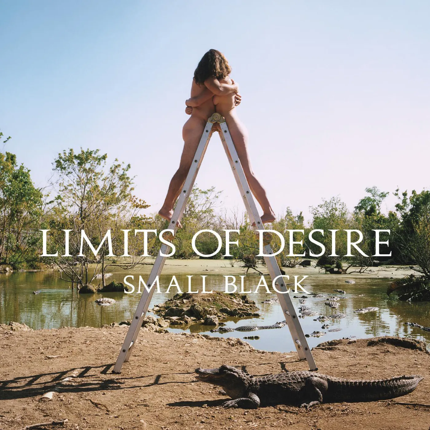 Small Black LIMITS OF DESIRE: 10TH ANNIVERSARY Vinyl Record