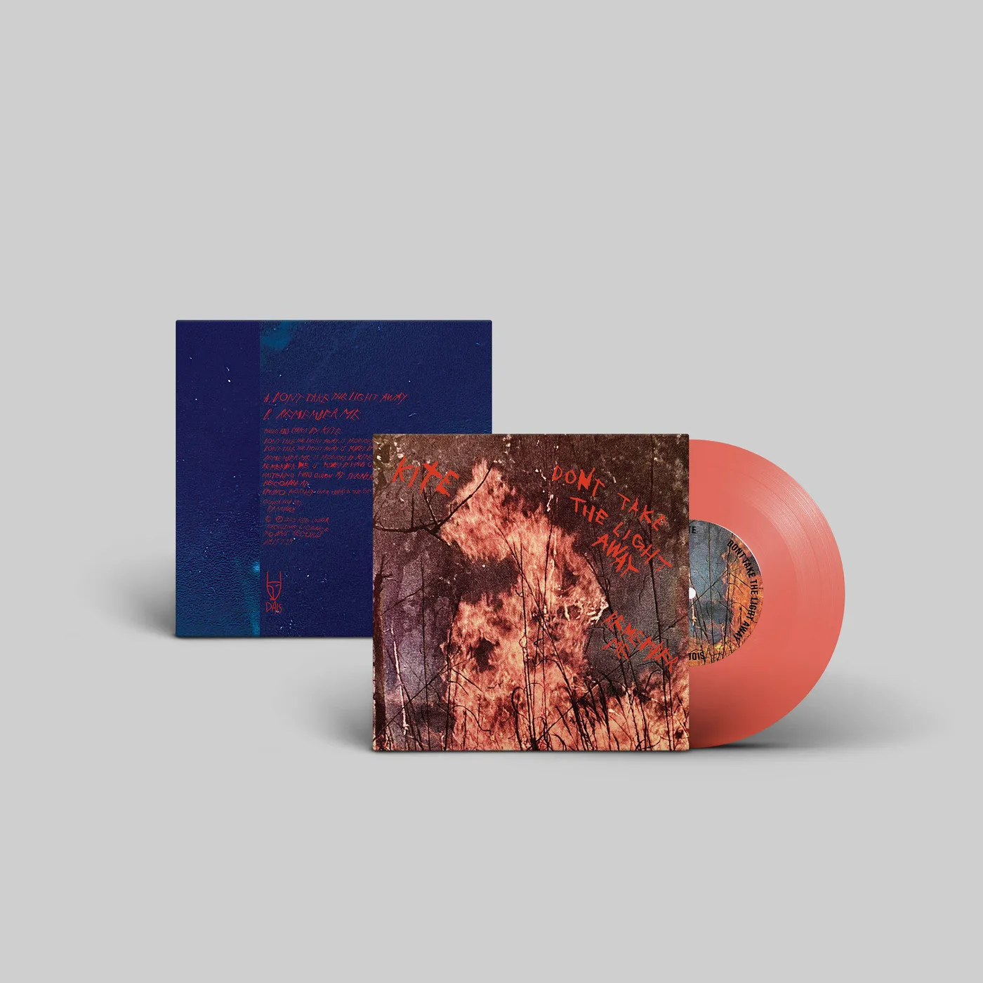 Kite DON'T TAKE THE LIGHT AWAY / REMEMBER ME Vinyl Record