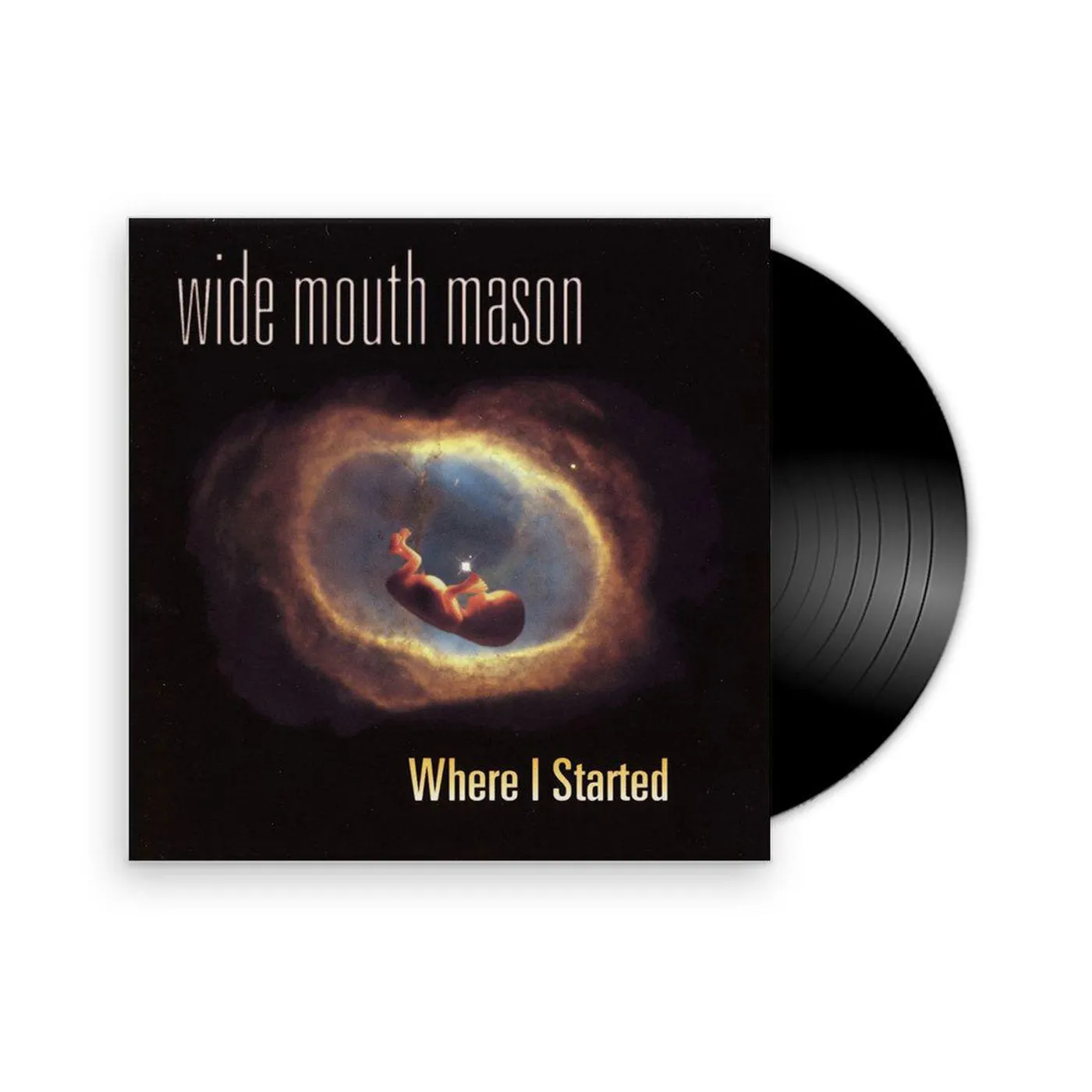 Wide Mouth Mason Where I Started Vinyl Record