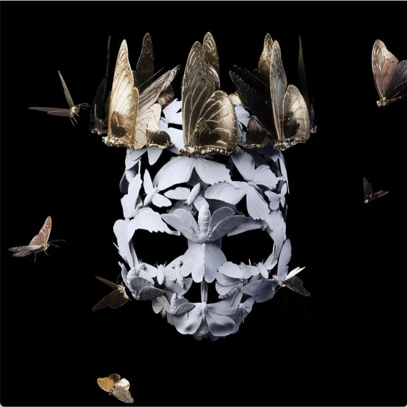 Princess Goes Come Of Age Vinyl Record