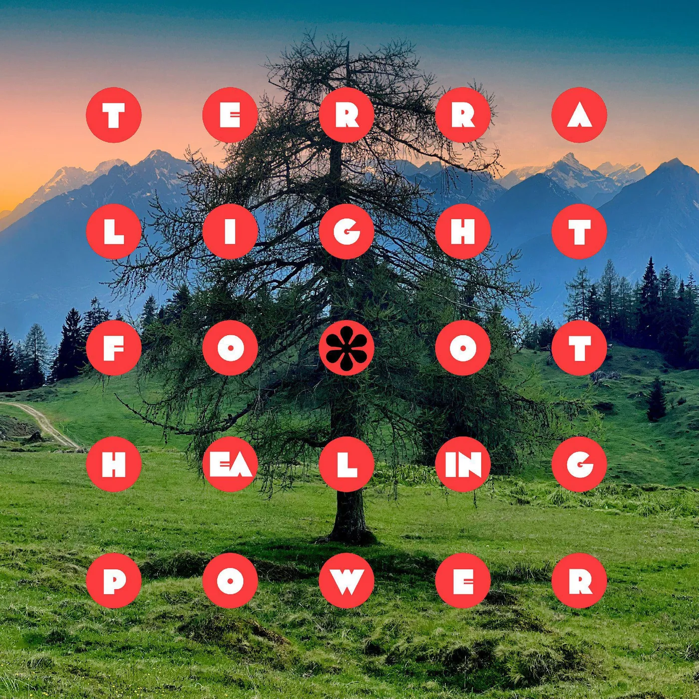 Terra Lightfoot Healing Power Vinyl Record