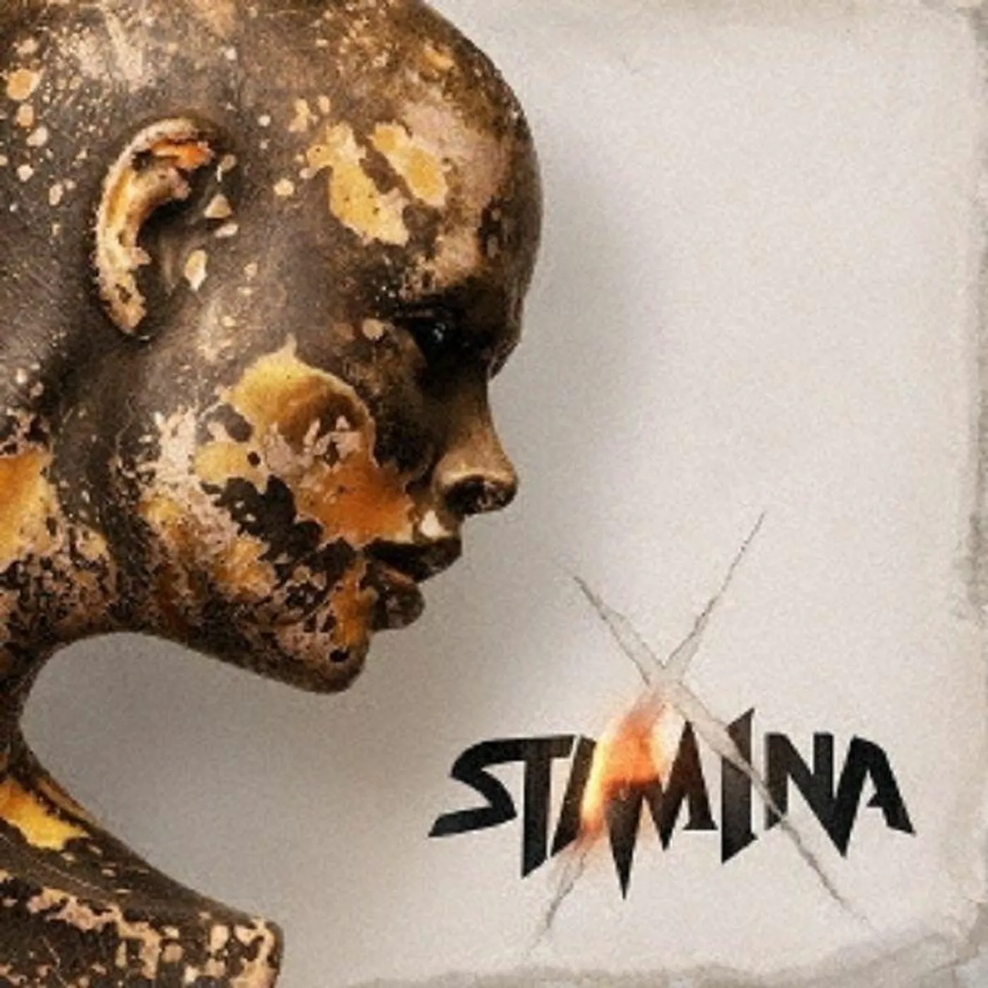 Stam1na X. Vinyl Record