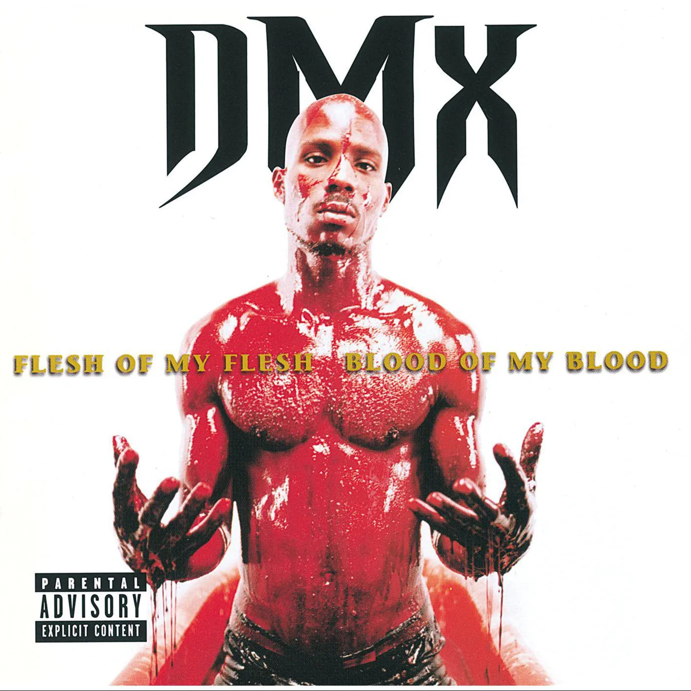 DMX Flesh Of My Flesh Blood Of My Blood Vinyl Record
