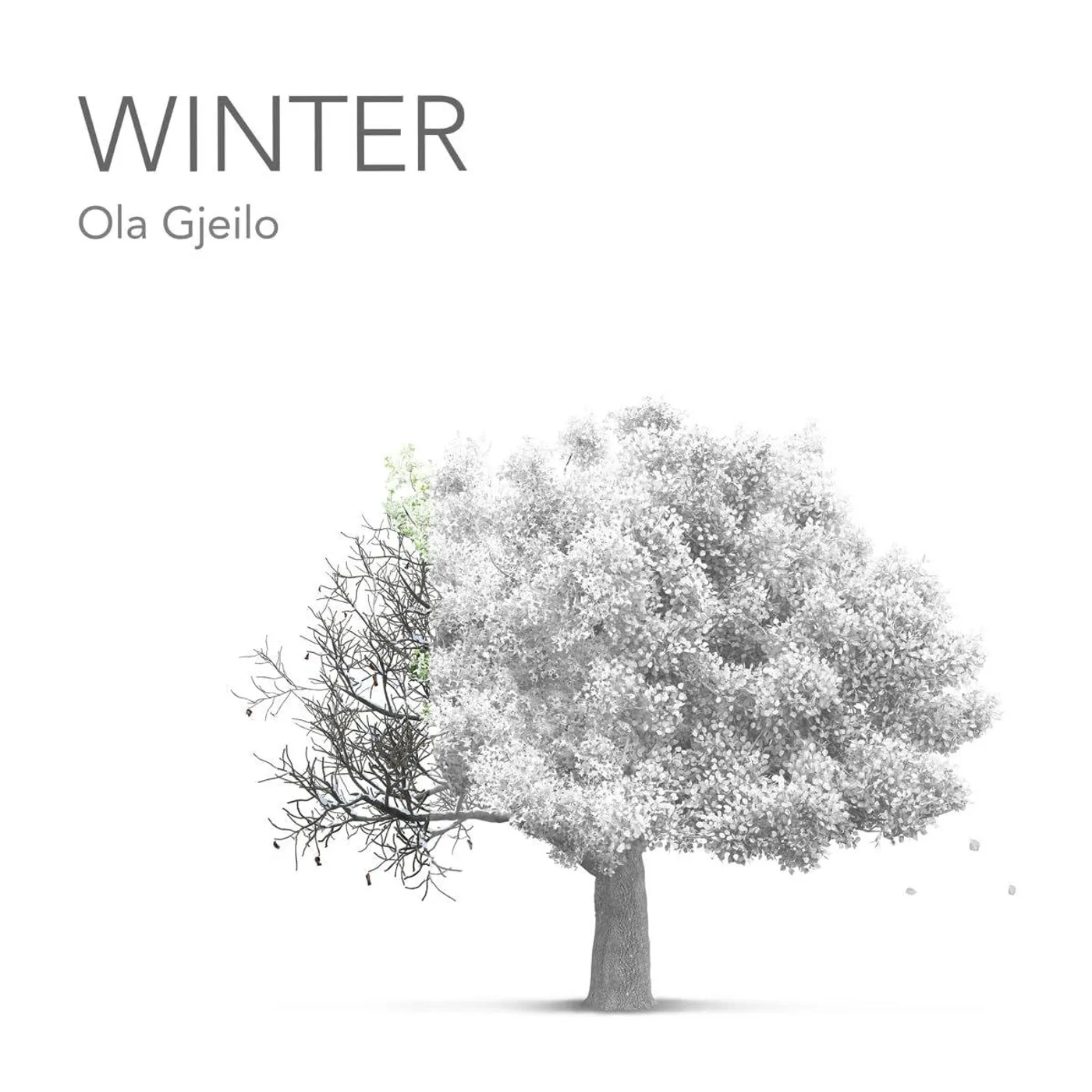 Ola Gjeilo Winter Vinyl Record