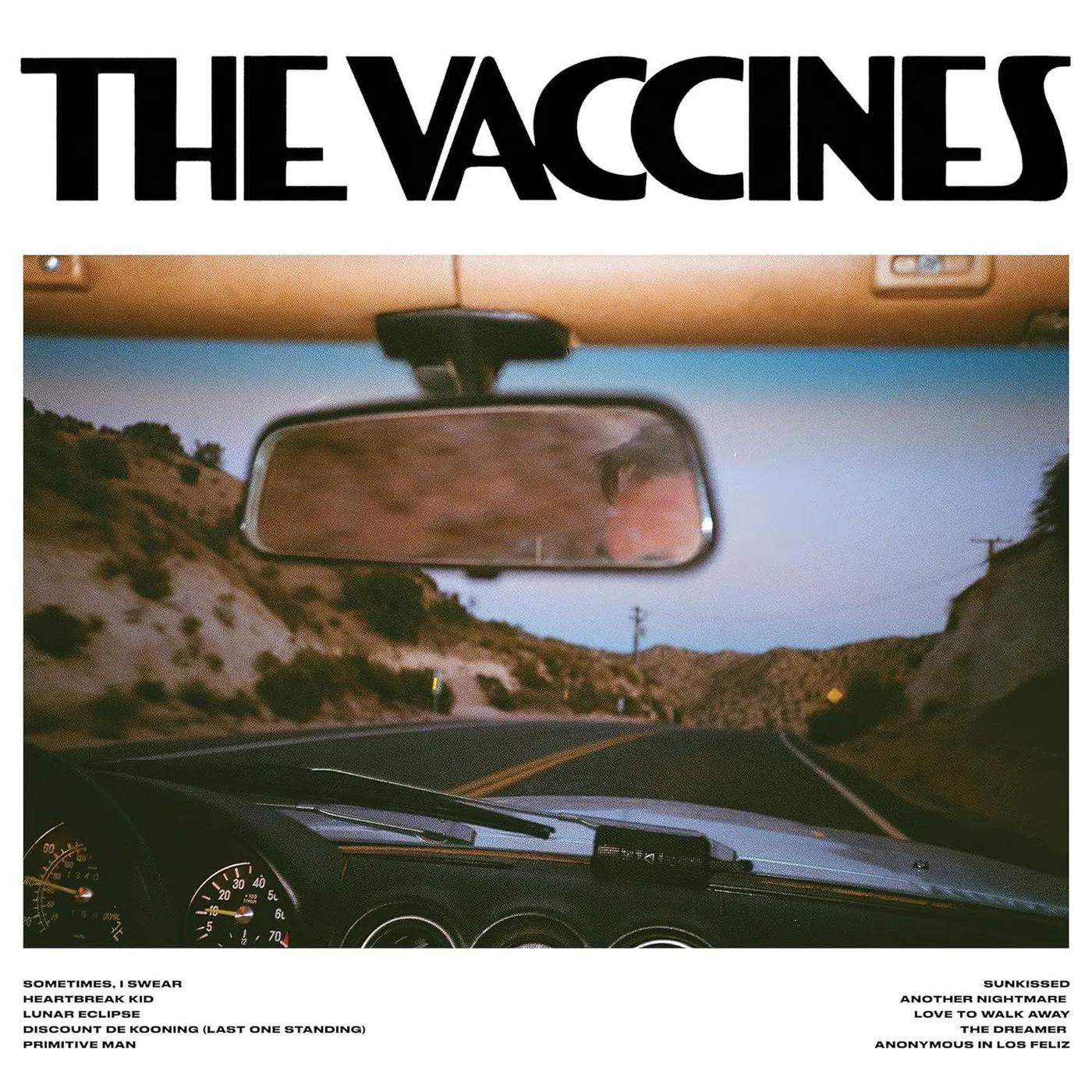 The Vaccines Pick-up Full Of Pink Carnations (Pink) Vinyl Record