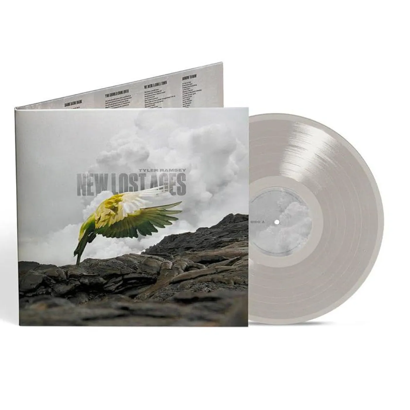 Tyler Ramsey New Lost Ages (Colored/Gray) Vinyl Record