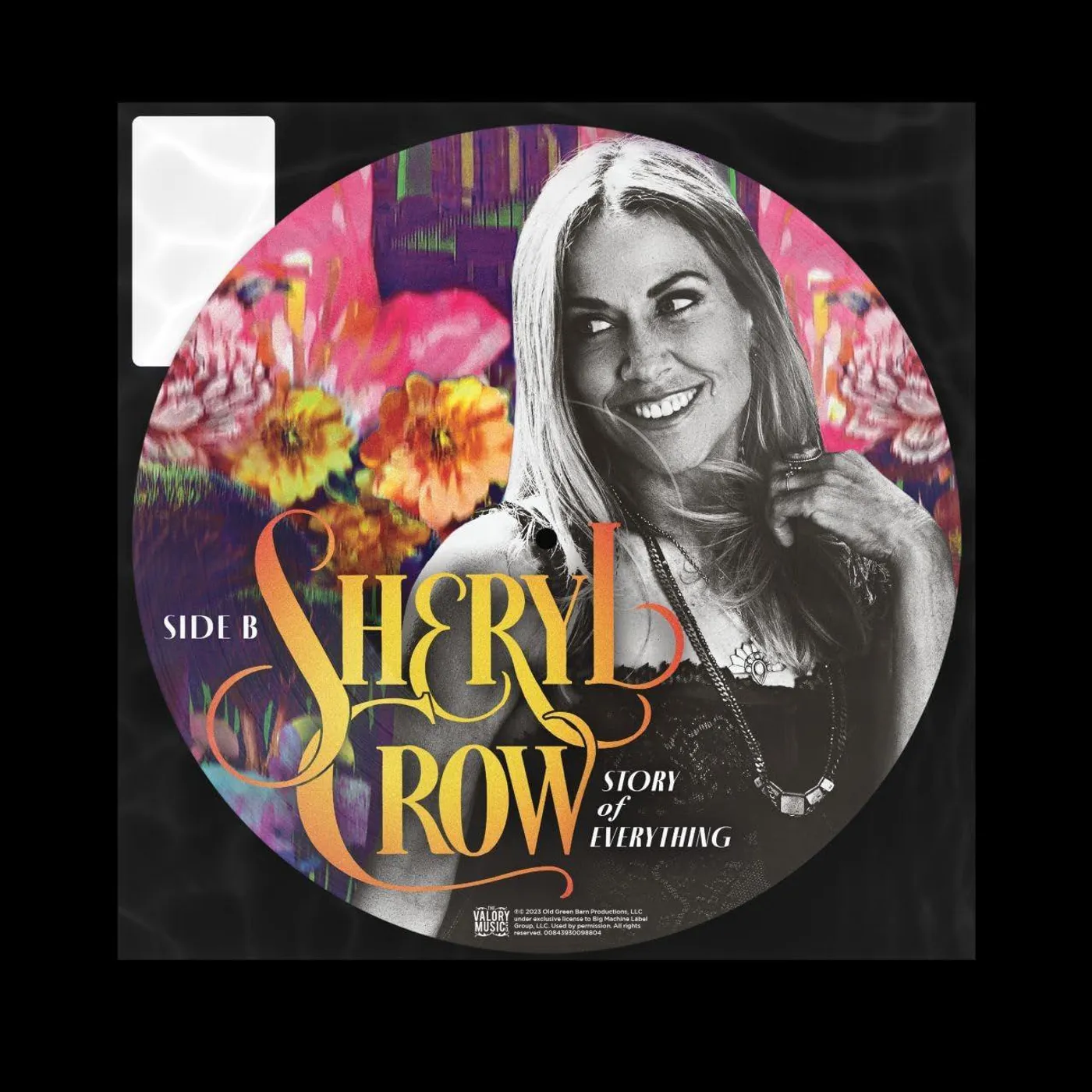 Sheryl Crow Story Of Everything (Picture Disc) Vinyl Record