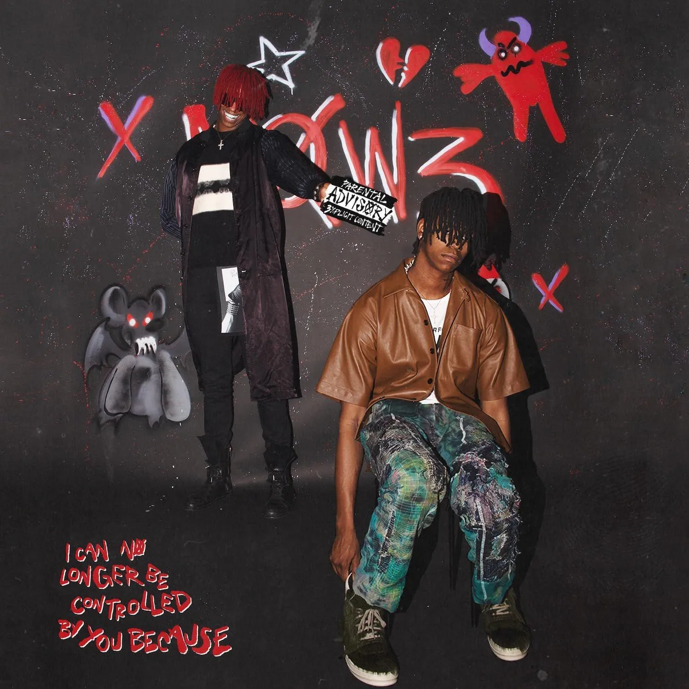 DC The Don My Own Worst Enemy (2LP) Vinyl Record