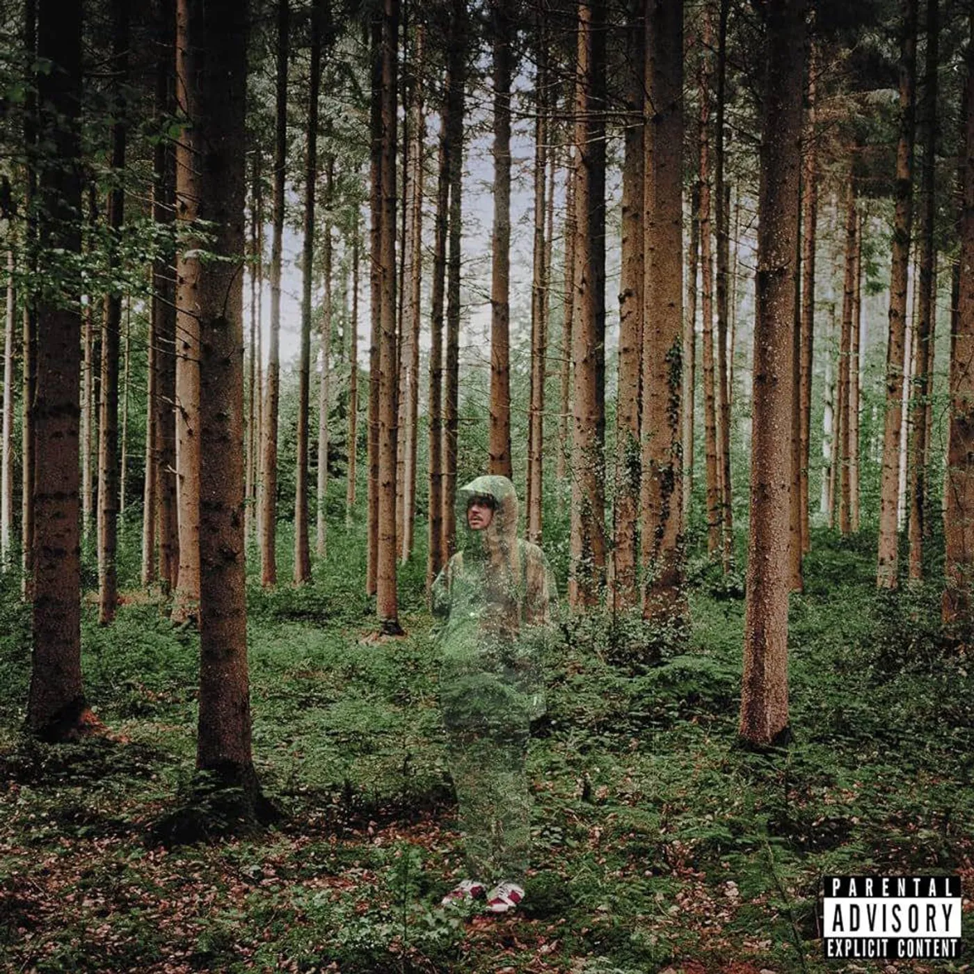 grandson I Love You I'm Trying Vinyl Record