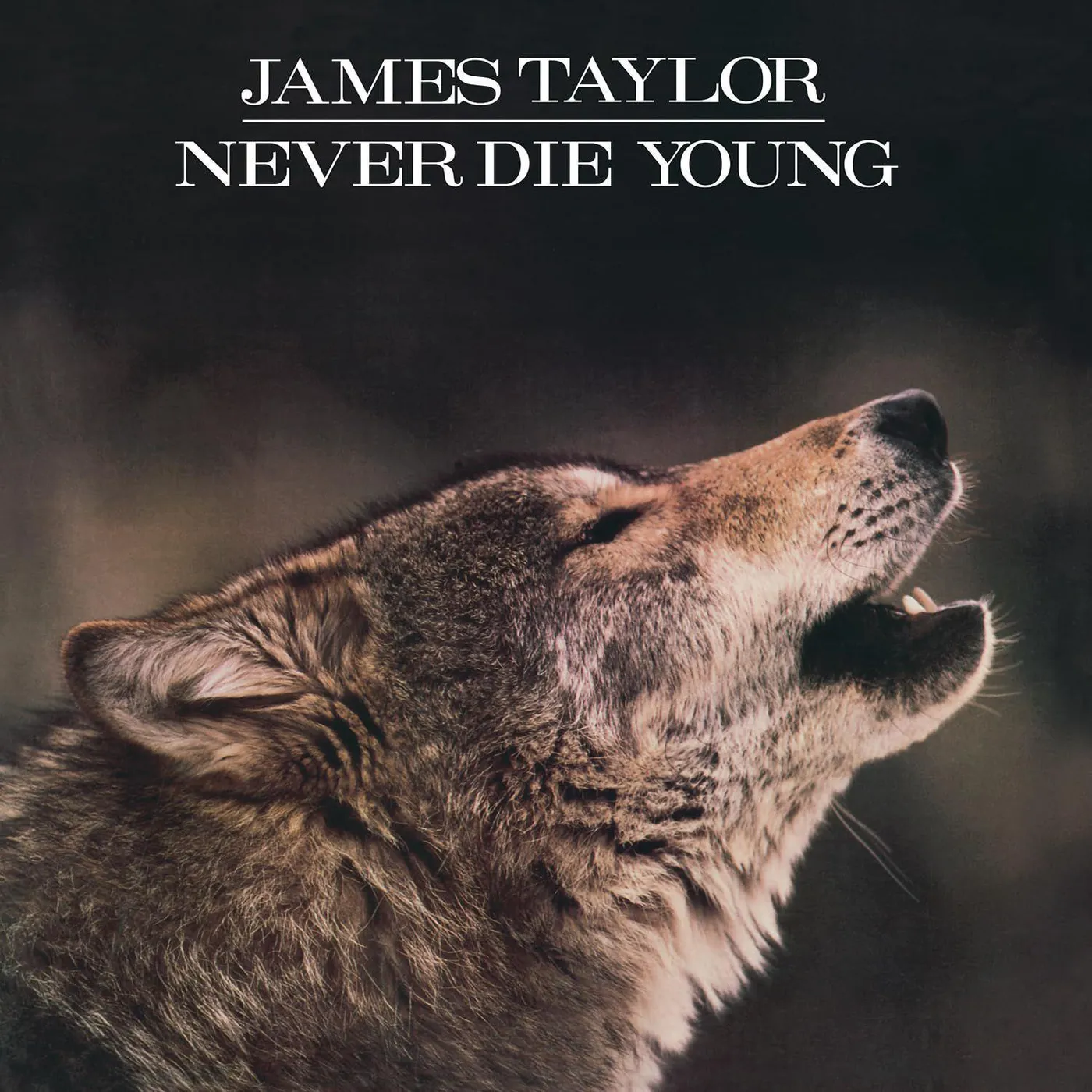 James Taylor Never Die Young (Limited 180-Gram White & Black Marble Colored) Vinyl Record