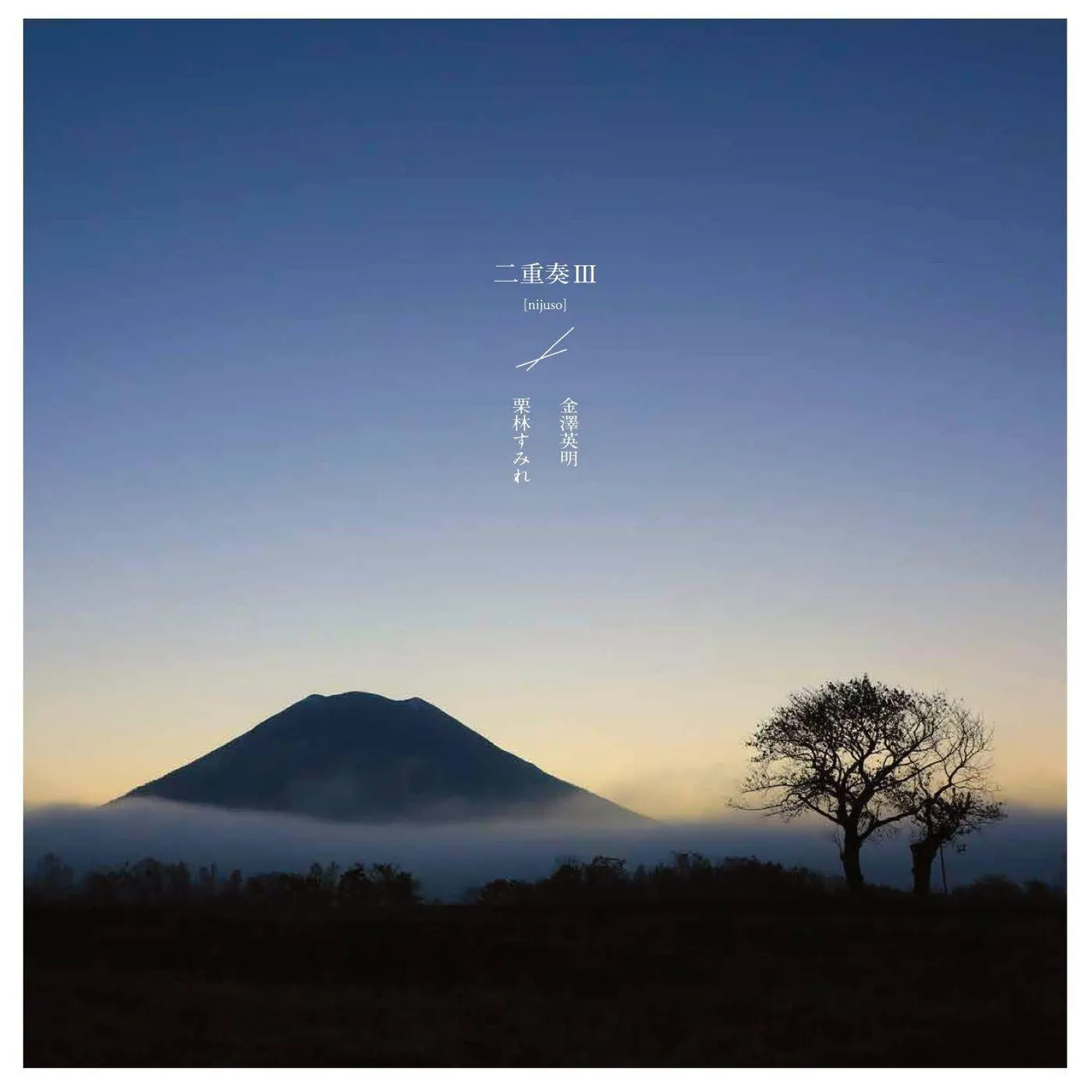 Hideaki Kanazawa Duet III Vinyl Record