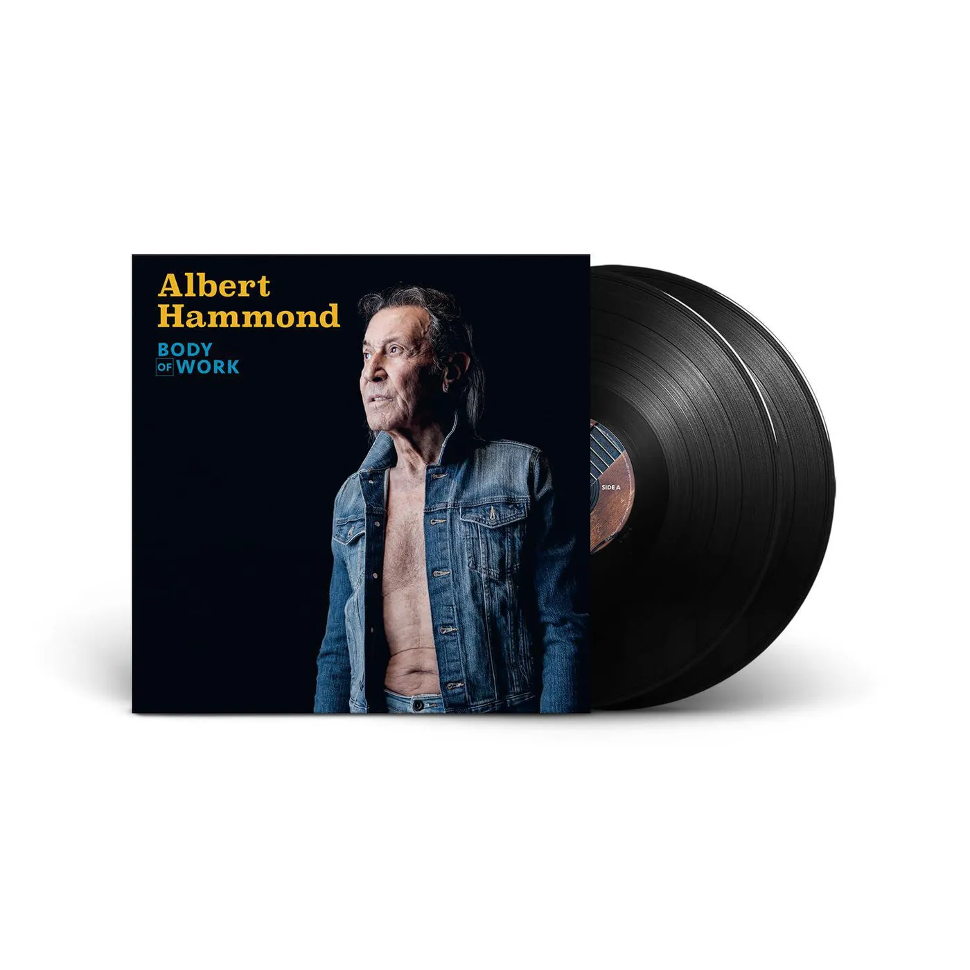 Albert Hammond Body Of Work (2LP) Vinyl Record