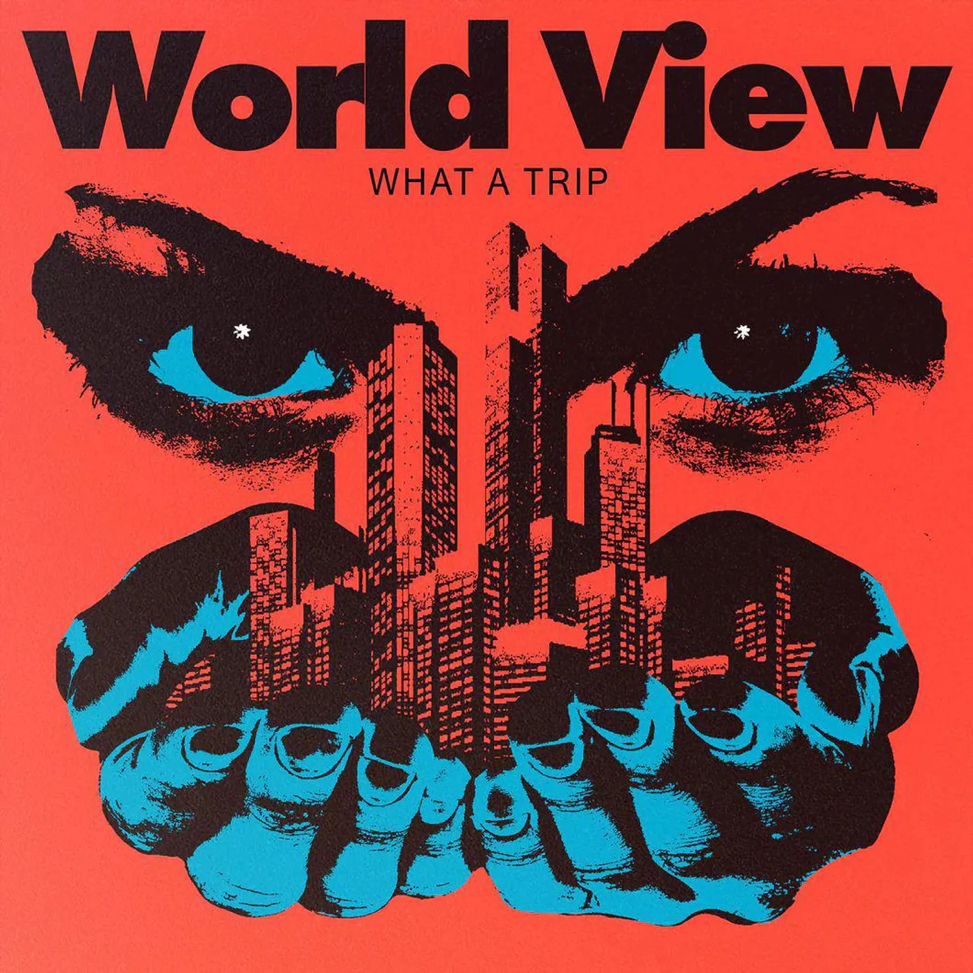 World View What A Trip Vinyl Record