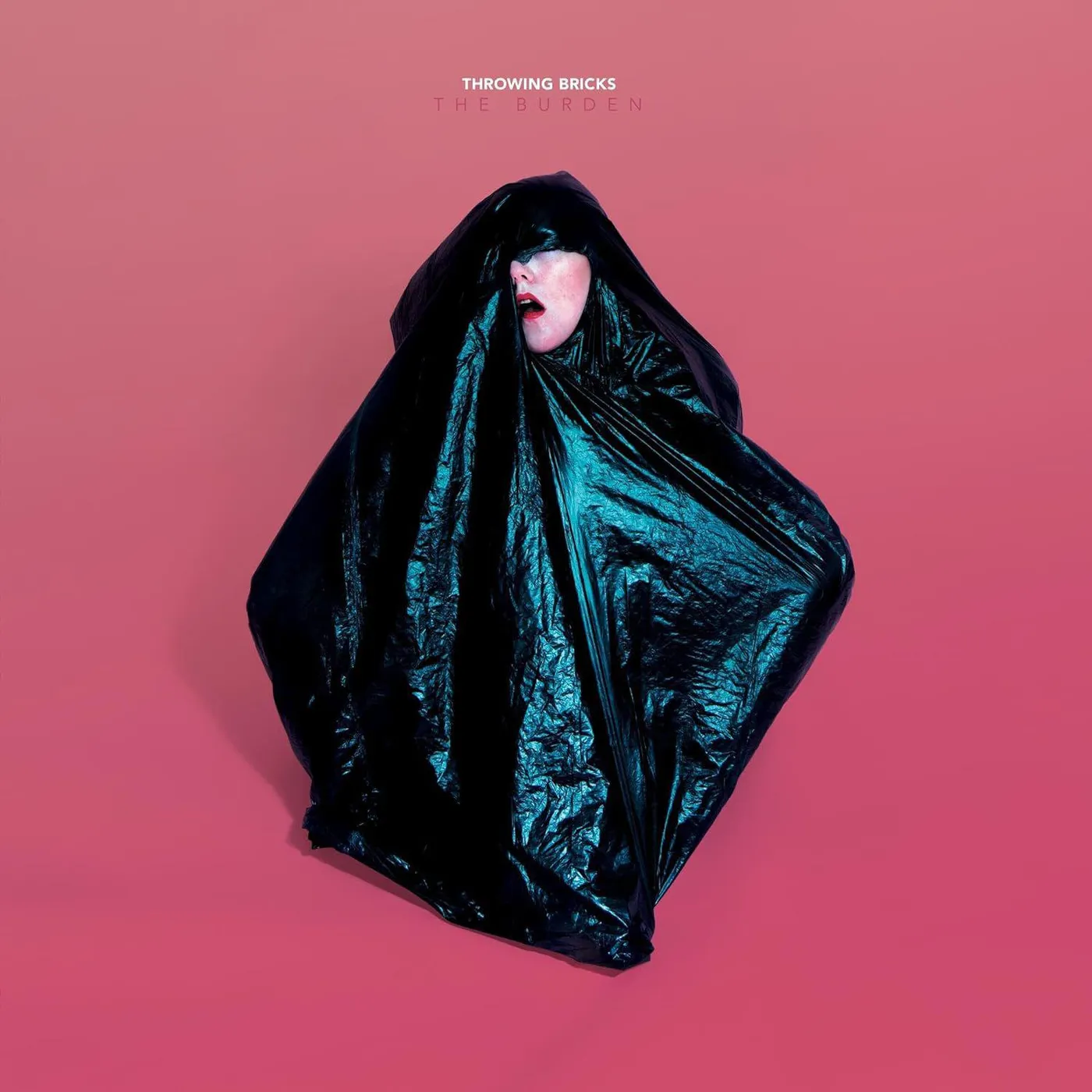 Throwing Bricks Burden Vinyl Record