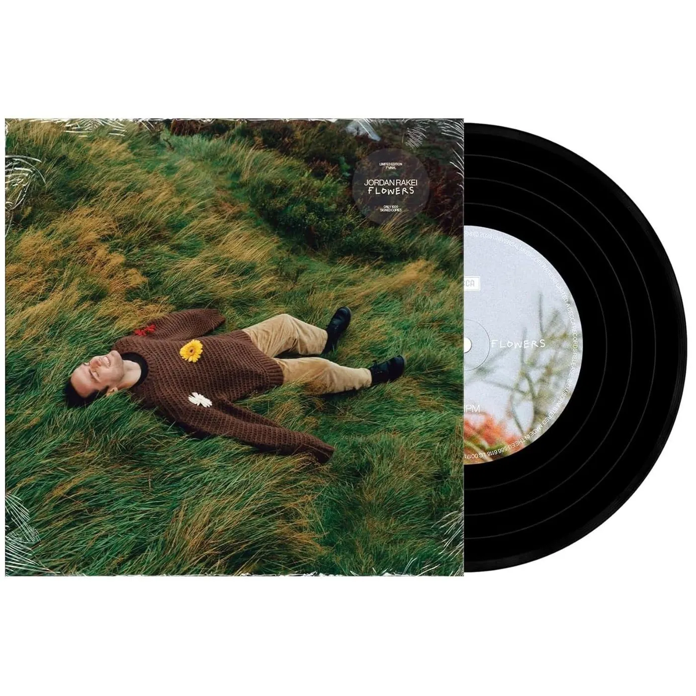 Jordan Rakei Loop (7") Vinyl Record