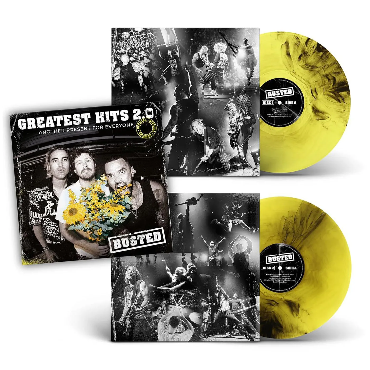 Busted Greatest Hits 2.0 (Another Present For Everyone) Vinyl Record