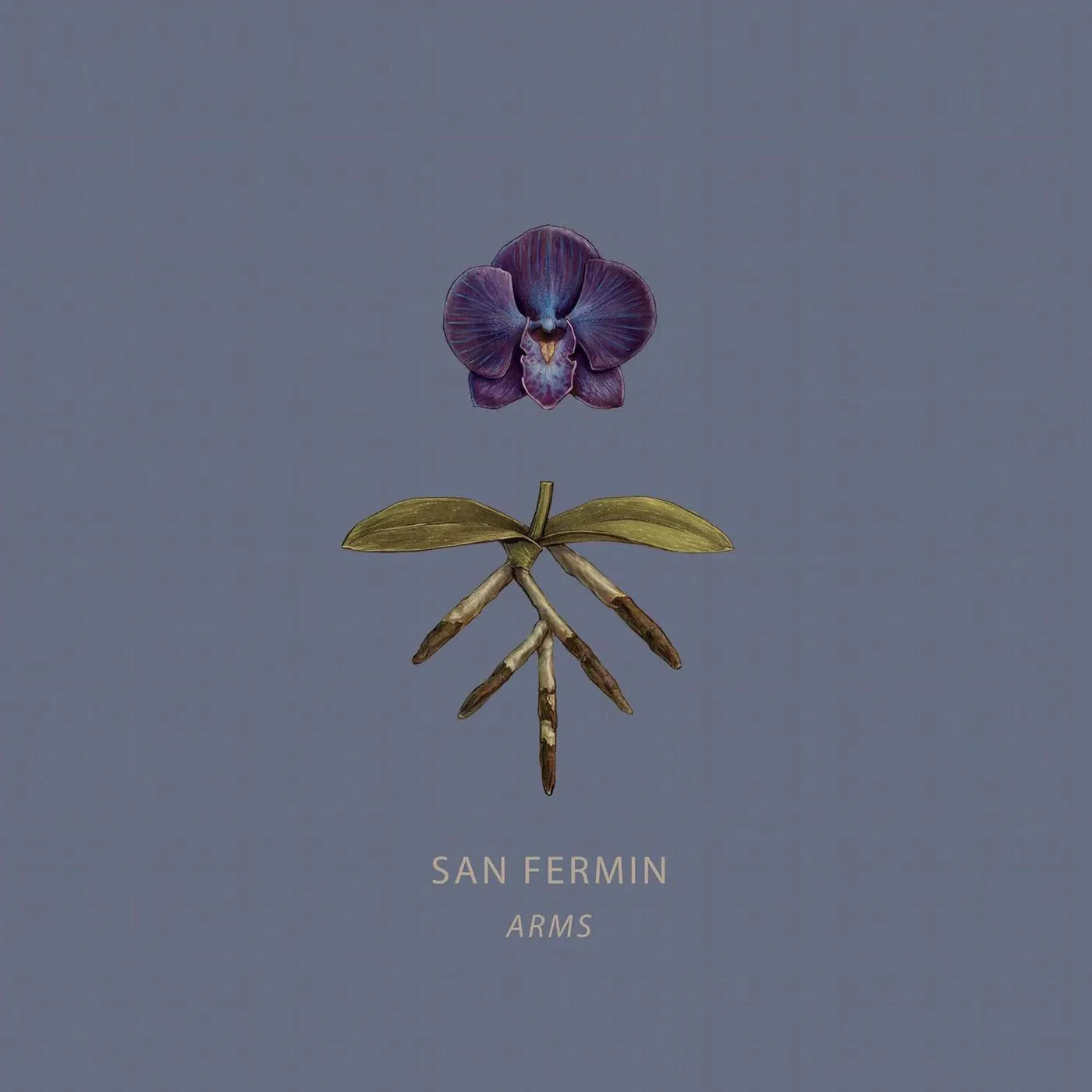 San Fermin Arms Vinyl Record
