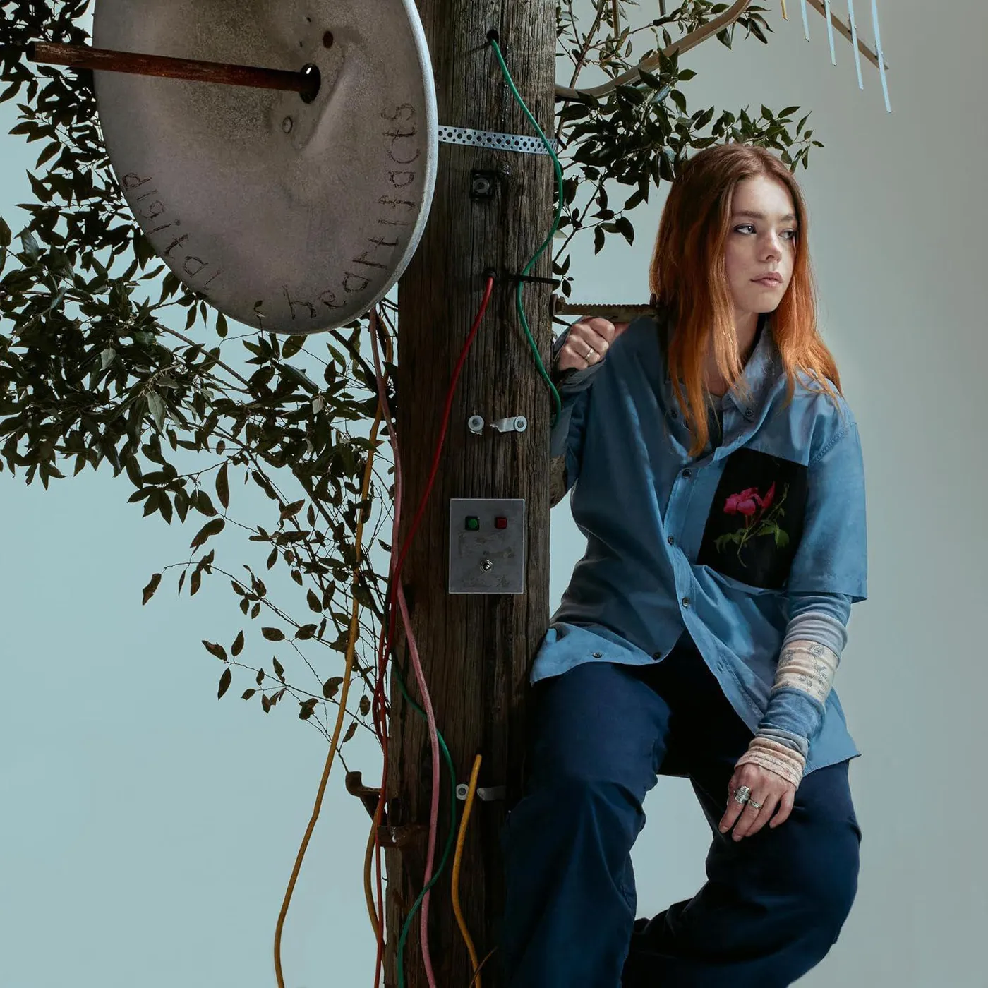 L Devine Digital Heartifacts Vinyl Record