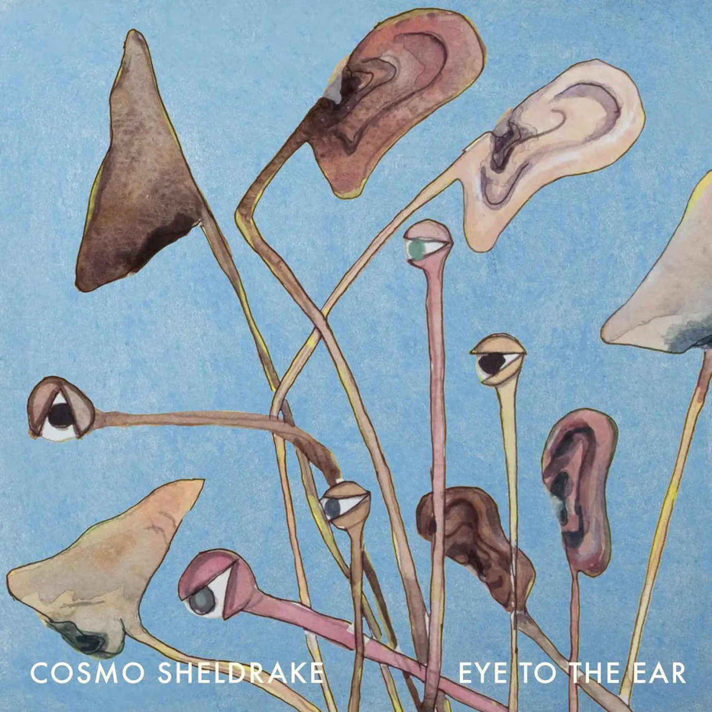 Cosmo Sheldrake EYE TO THE EAR Vinyl Record
