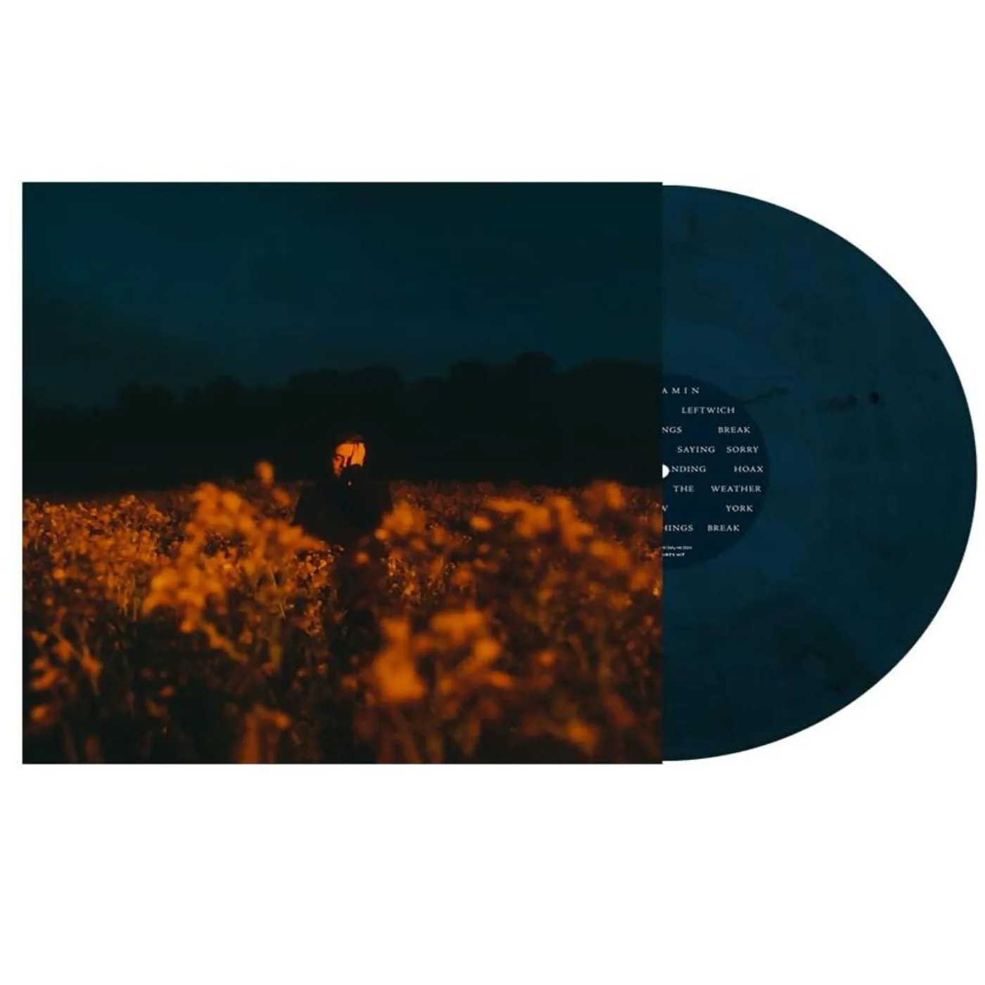 Benjamin Francis Leftwich Some Things Break Vinyl Record