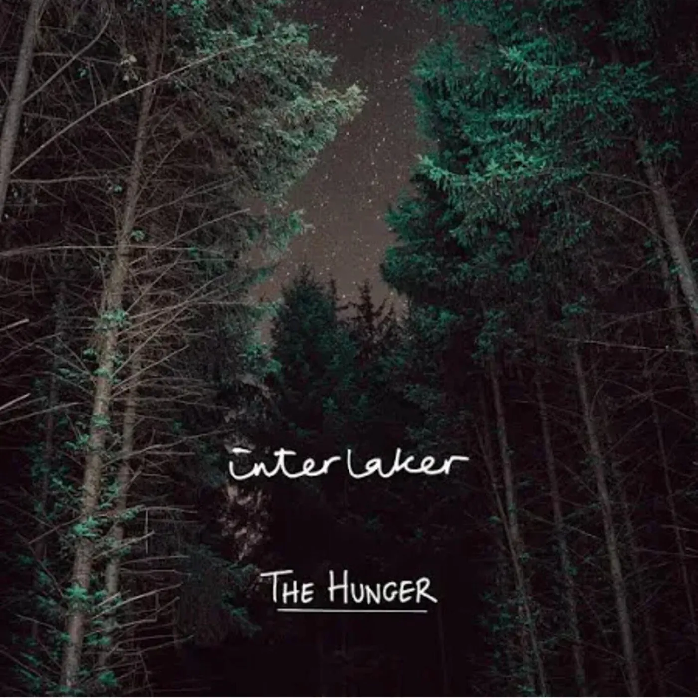 Interlaker Hunger Vinyl Record