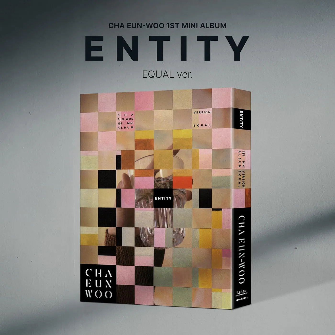 Cha Eun-Woo Entity - Equal Version - Random Cover (Photobook Set, Folding Poster, Photocard Set, Sticker, DIY Entity, Accordion Lyric Paper + Mini-Poster Set) CD