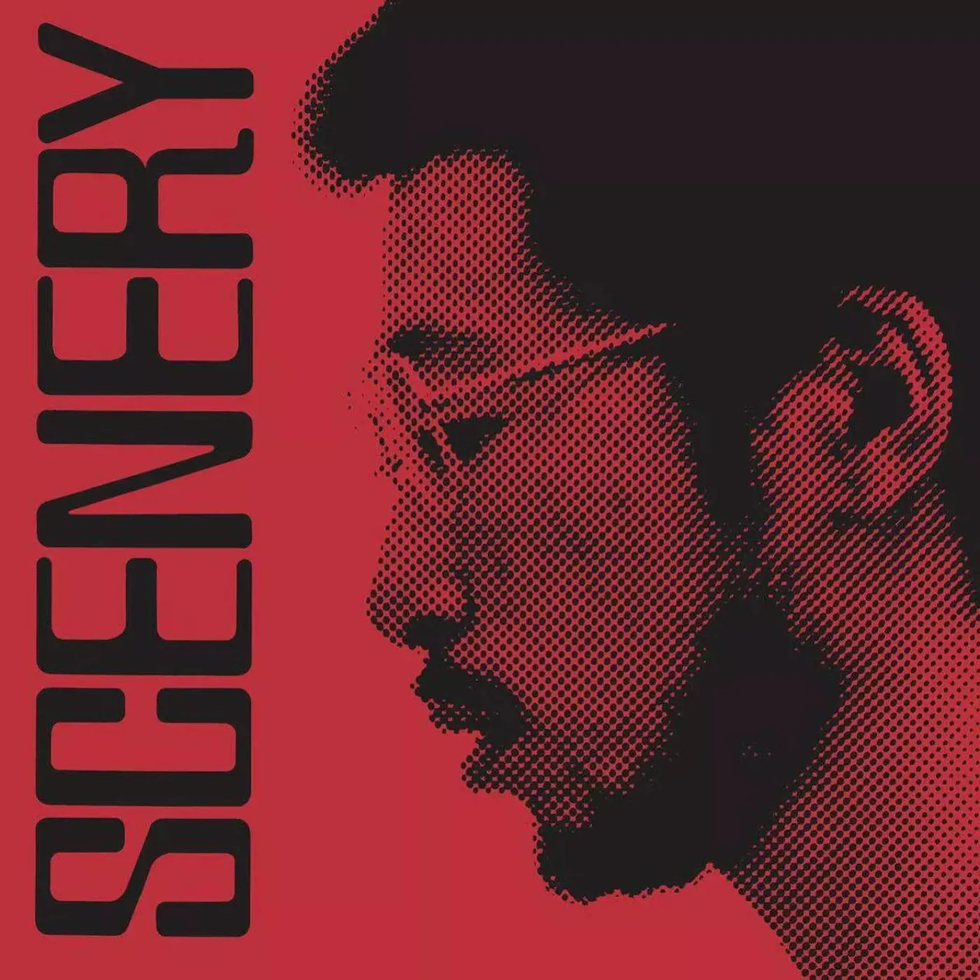 Ryo Fukui Scenery (Red) Vinyl Record