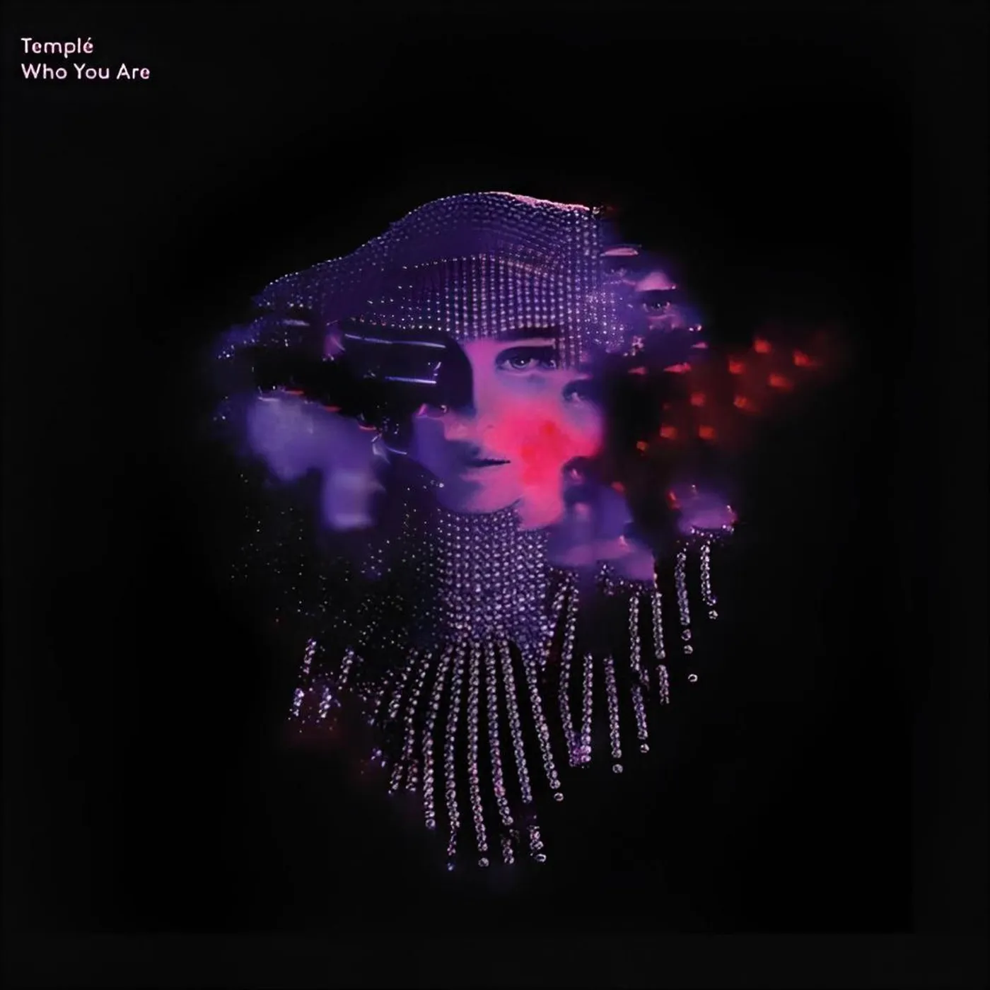 Temple Who You Are (Prins Thomas Remix) Vinyl Record